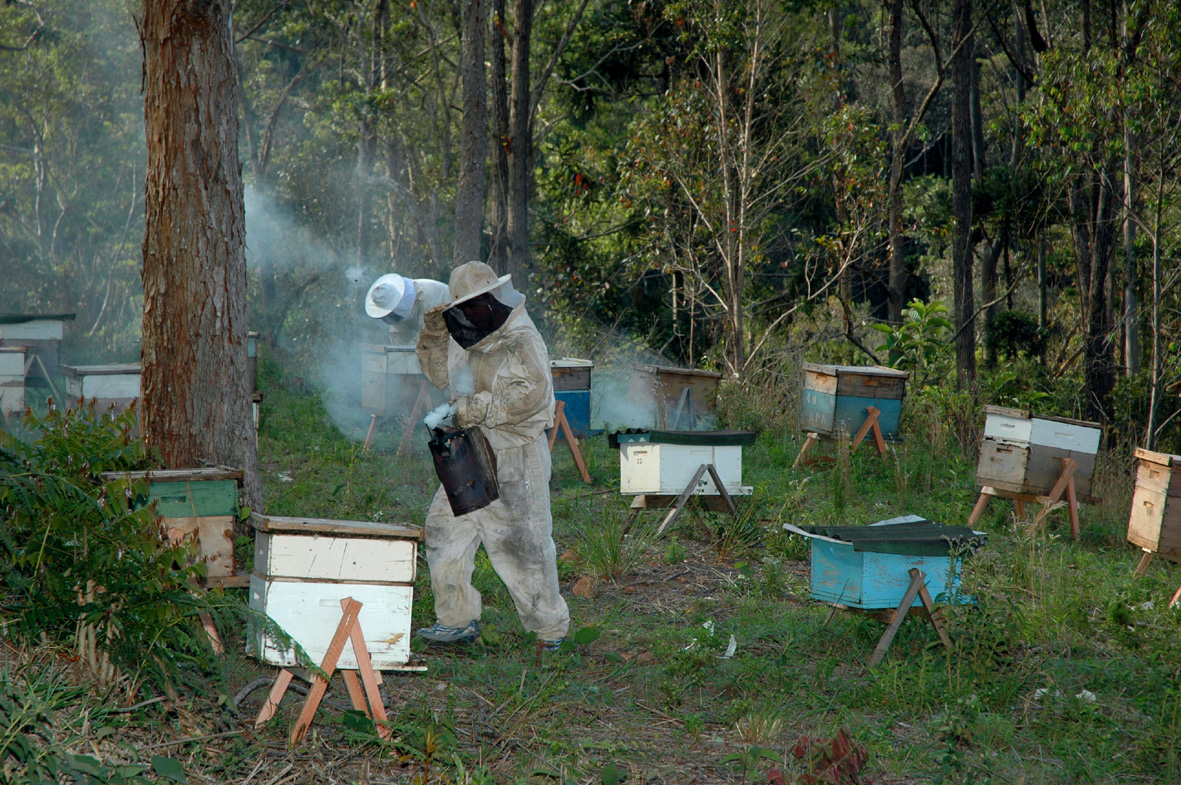 APROVADO MACAÉ - APIÁRIO E SÍTIO DO MORANGO - 17/10/2024